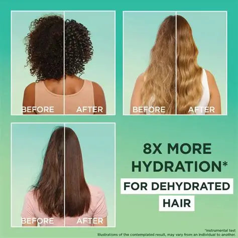 Garnier Ultra Doux Aloe Vera Vegan Hair Food Shampoo for normal hair