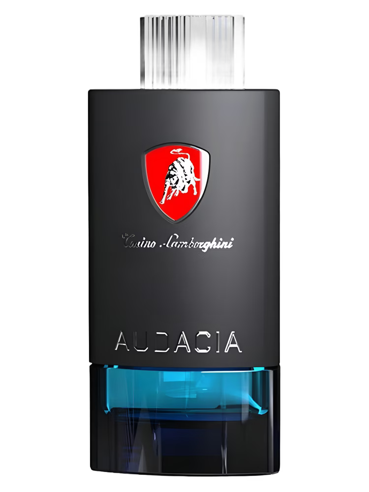 Tonino Lamborghini – Tecno Audacia Homme Eau de Toilette 100 ml