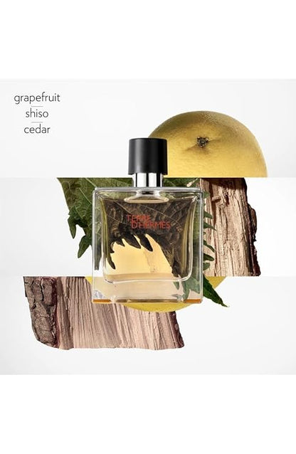 Hermès – Terre d’Hermès Eau de Parfum for Men