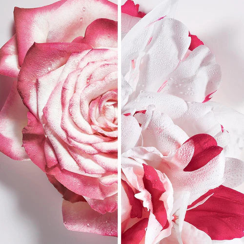 Christian Dior - Miss Dior Absolutely Blooming Eau de Parfum