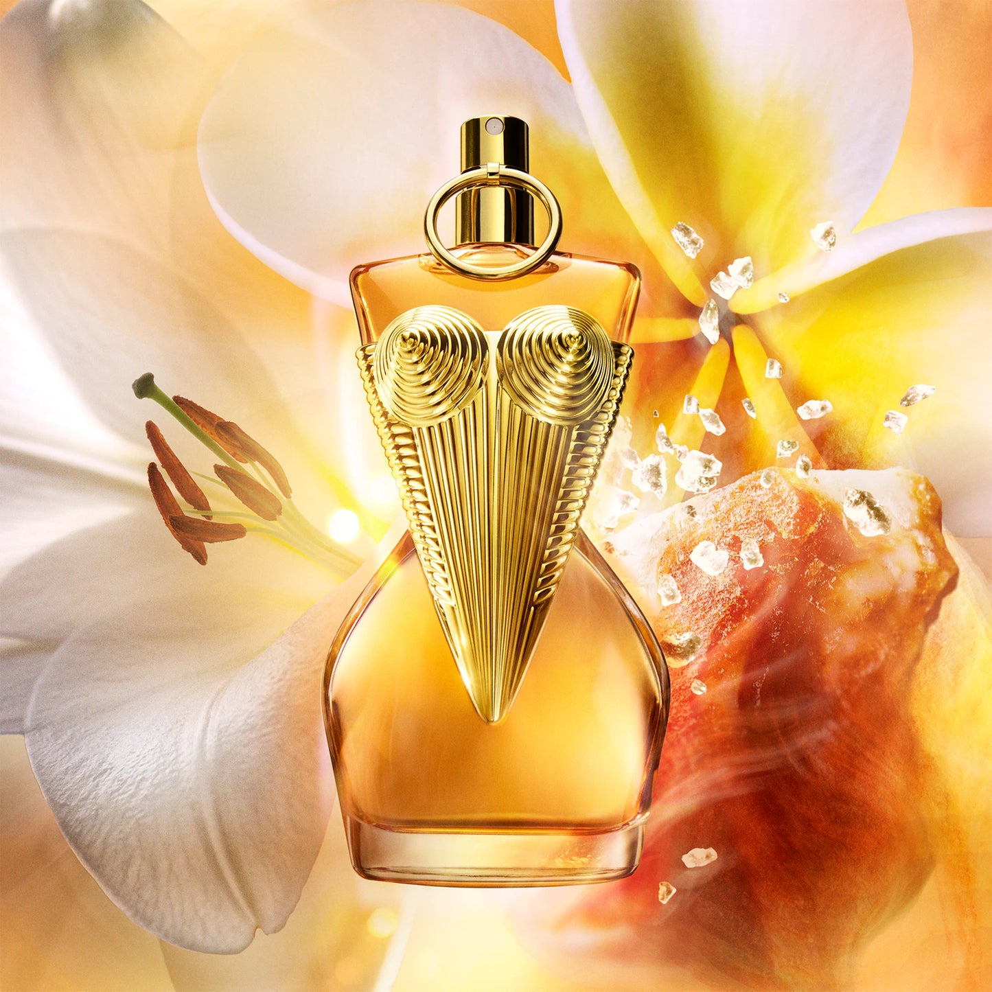 Jean Paul Gaultier – Divine Le Parfum Femme Eau de Parfum 100 ml